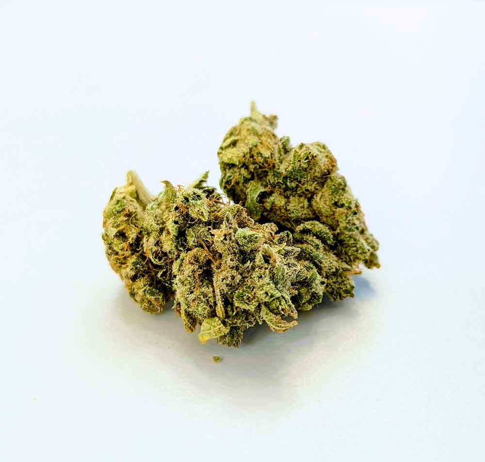 New Amnesia - Indoor